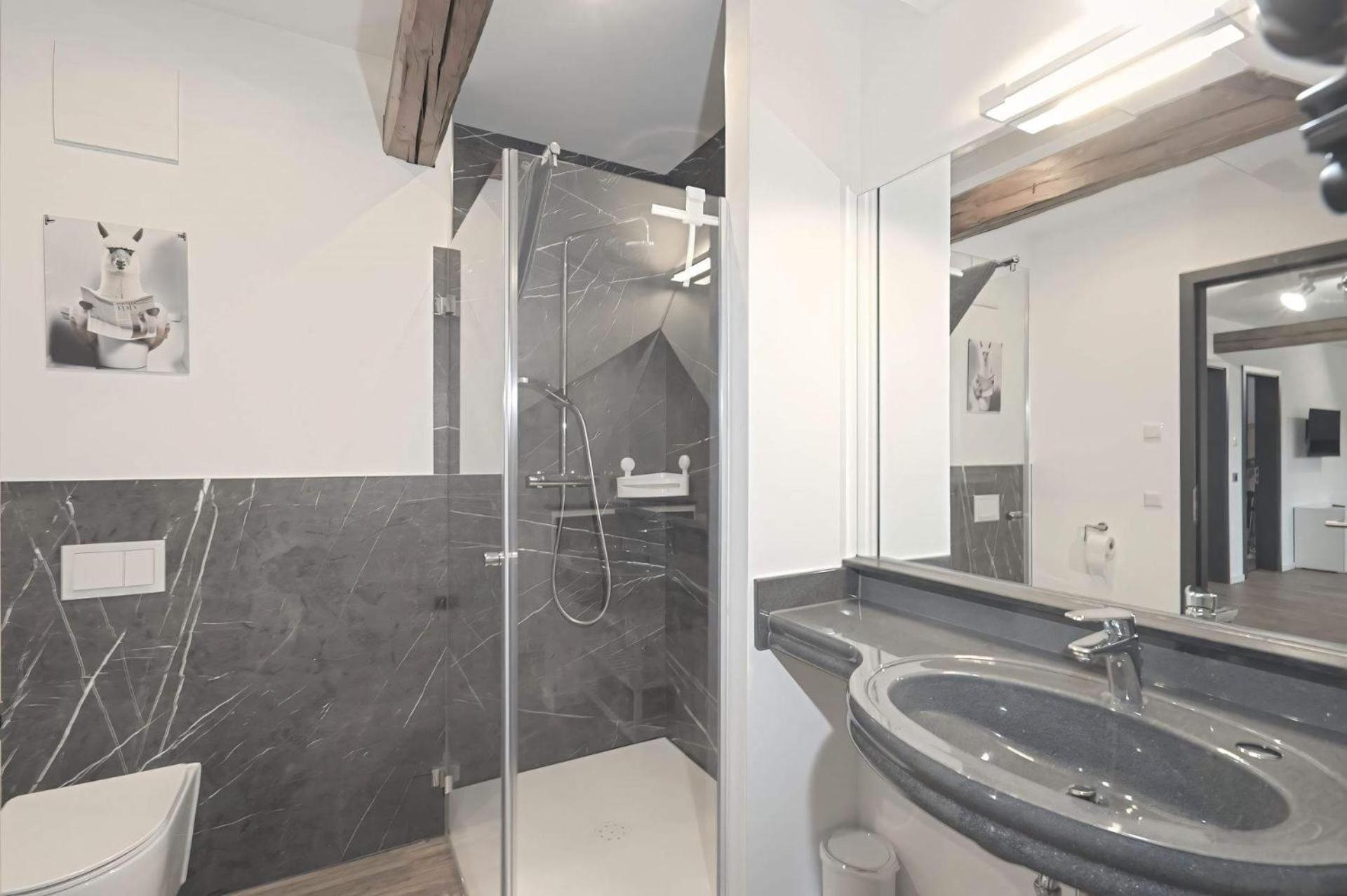 Ferienquartier- Forsthaus Apartman Bad Gottleuba Kültér fotó